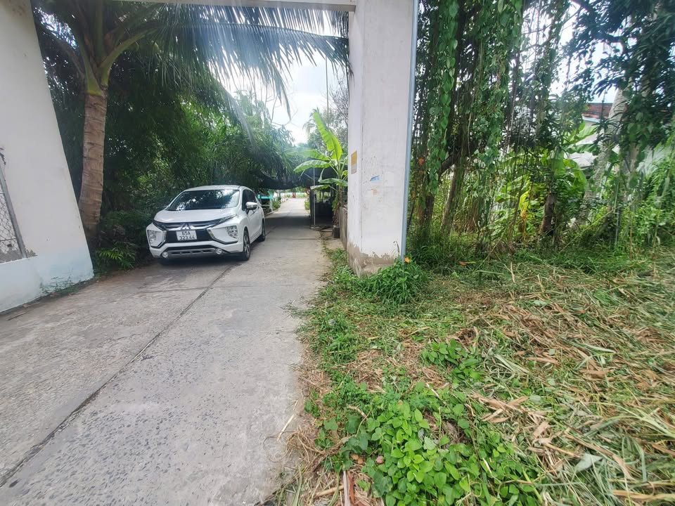 Đất Nền Ô Môn 233m² - Giá Ngộp Đầu Tư 1 Tỷ