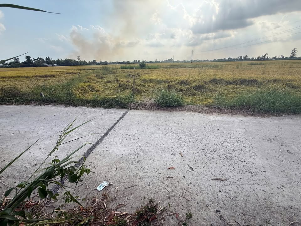 Bán Đất Vườn Đồng Tháp 2040m² Mặt Tiền Đường Dal Vĩnh Thạnh - Giá Tốt