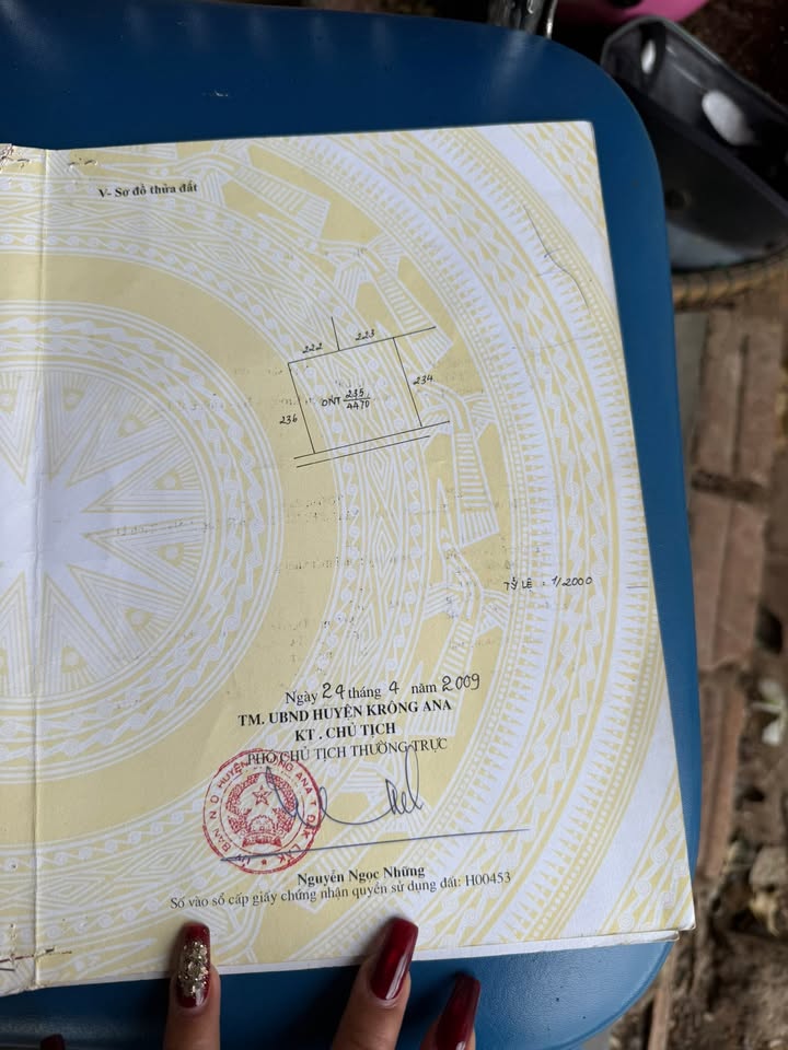 Đất Vàng Krông A Na 2500m² Mặt Đường To - Sẵn Sàng Phân Lô