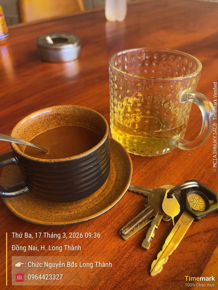 Đất Nền Mặt Tiền Đường Nhựa Xã Bình Sơn, Long Thành - Cơ Hội Đầu Tư Sinh Lời