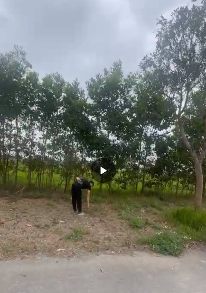 Đất nền Dự án Trần Sơn - 108m² - Giá 3.2 tỷ - Lô góc vị trí đẹp