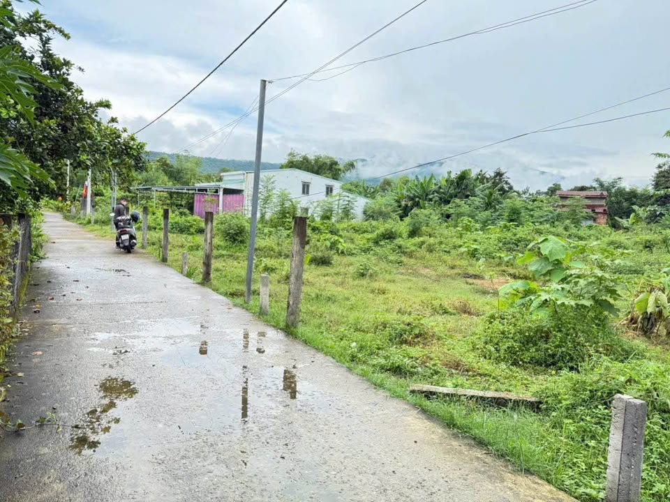 Bán Đất Nền Hòa Bắc Đà Nẵng 128m² - Sổ Sẵn Sẵn Sàng Giao Dịch