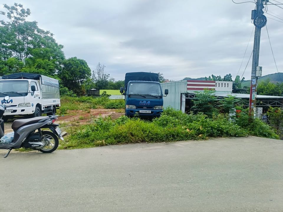 Bán Đất Kinh Doanh Mặt Tiền Đường Nhựa 130m² - Phường Hòa Minh, Đà Nẵng