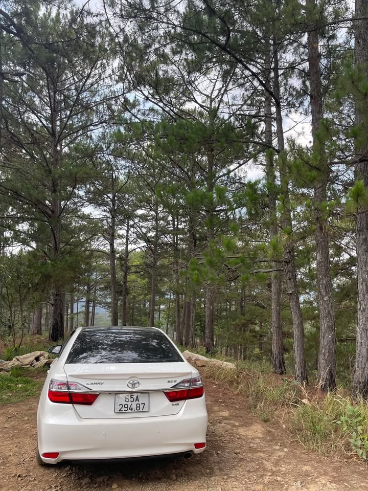 Nhà Mặt Tiền Sông Tầm Vu, Cần Thơ - 500m², Kinh Doanh Đa Ngành