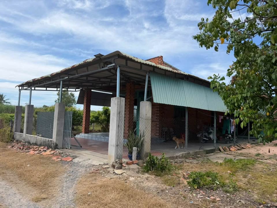 Đất Vàng Gò Dầu 288m² - Giá 80 Tỷ, Gần KCN Hiệp Thạnh, Sổ Hồng