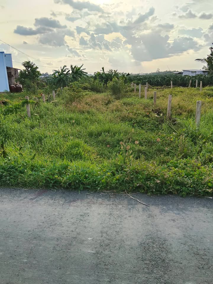 Đất Nền Mặt Tiền Nhựa Đồng Sơn, Tiền Giang - 138m² - Sổ Hồng Sẵn