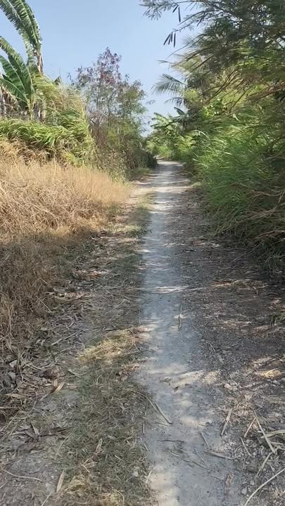 Đất Nền Gò Công Đông, Tiền Giang - 4221m² Sổ Đỏ, Giá Chỉ 450 Triệu/1000m²