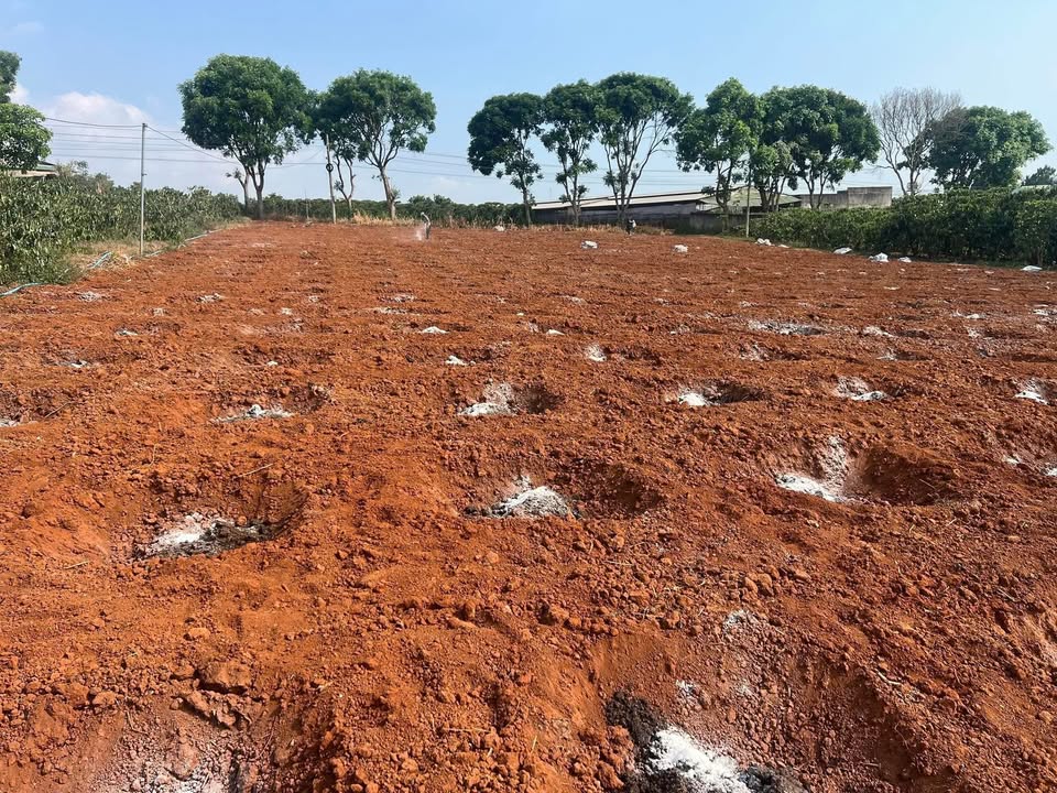 Bán đất 6000m² Đức Trọng, Lâm Đồng - Sẵn 280m² thổ cư, mặt đường bê tông