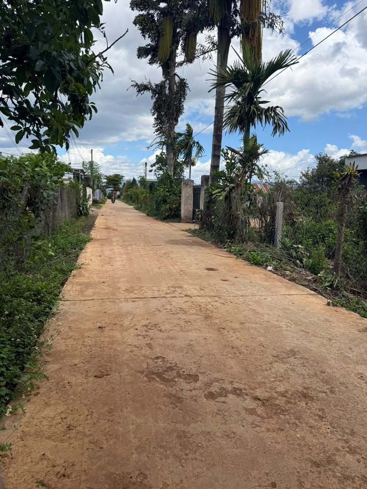 Bán Đất Mặt Tiền Đường Nhựa Xã Bình Thạnh, Đức Trọng - 12x75m, Thổ Cư