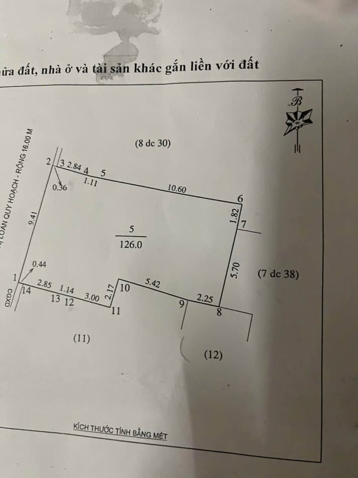 Nhà Mặt Tiền Hoàng Thị Loan 126m² - Kinh Doanh Đắc Lợi, Giá 8 Tỷ