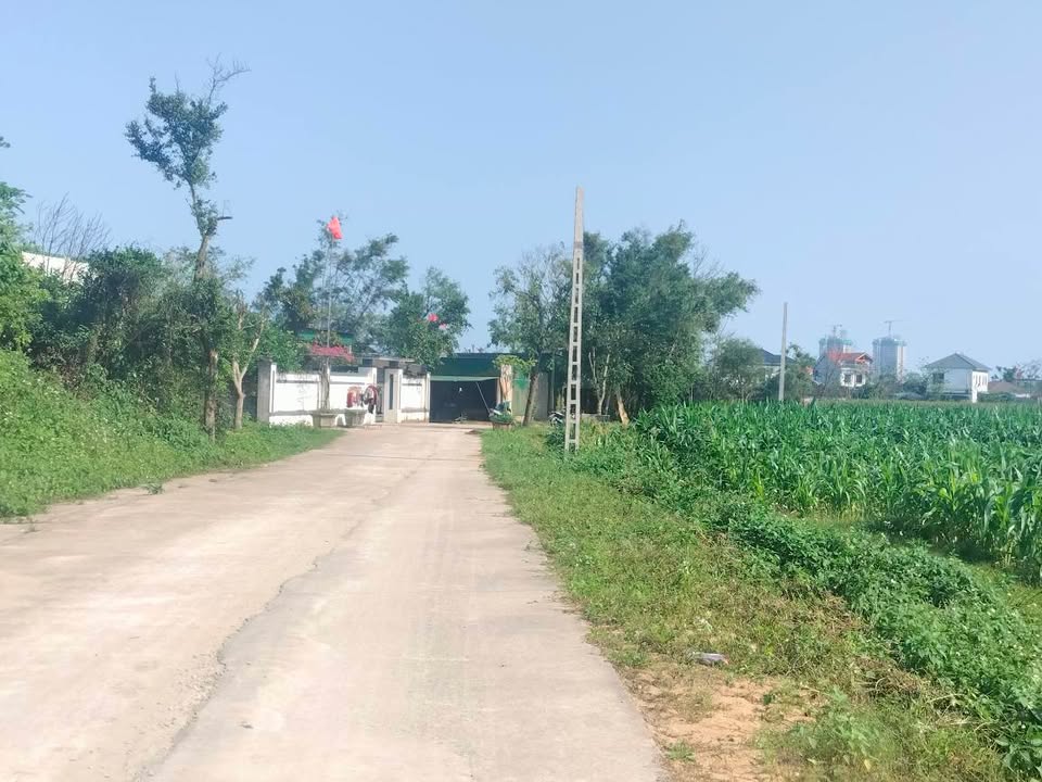 Đất nền Nghi Lộc Nghệ An 150m² - Sổ đỏ sẵn sàng, ô tô tránh