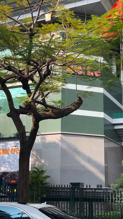 Nhà Hẻm Oto 52m² Phú Nhuận - 3PN, Sổ Hồng, Giá 6.25 Tỷ