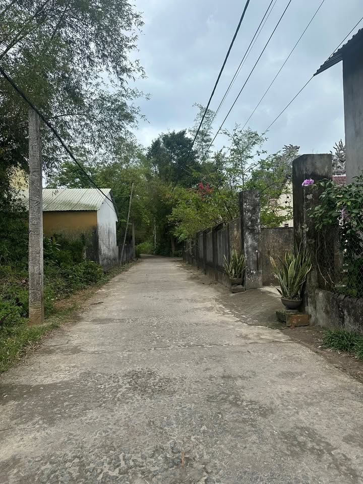 Đất Vườn Tam Thăng 770m² - Gần KCN, Giá 1.2 Tỷ - Đầu Tư Sinh Lời