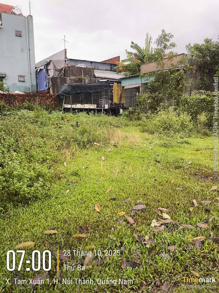 Đất Nền Núi Thành 126m² - Sổ Đỏ Sẵn, Gần Chợ Ông Nhơn