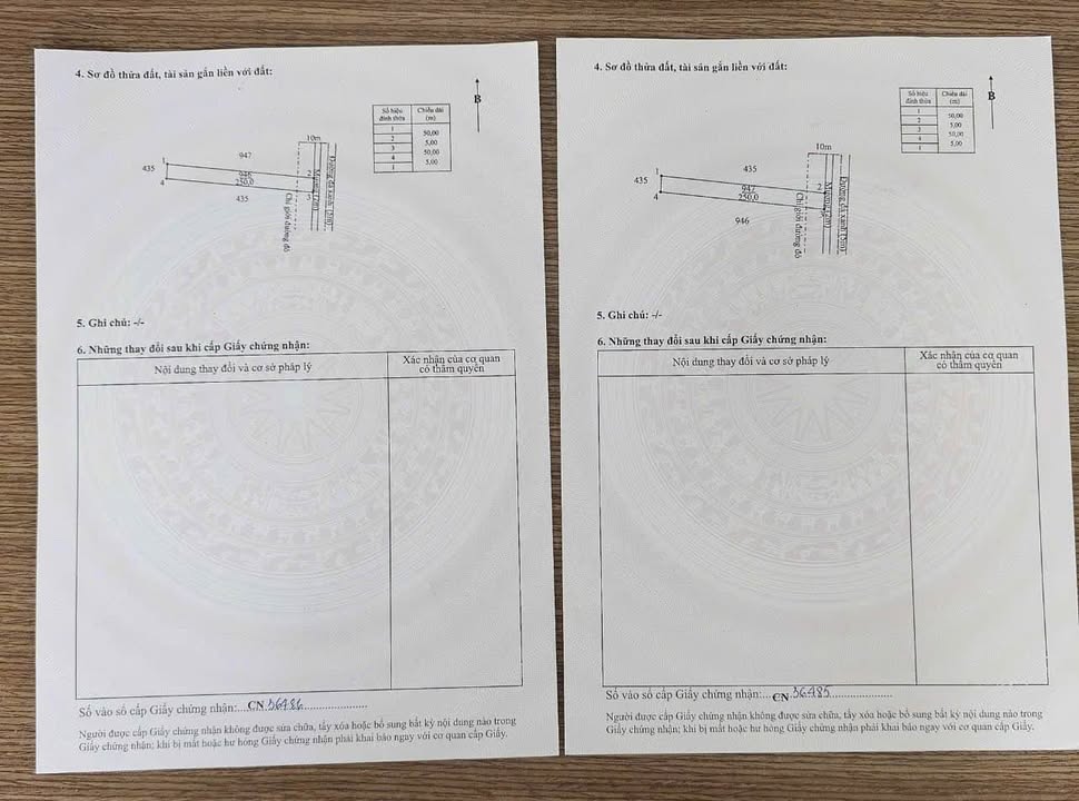 Đất Nền Lương Bình, Bến Lức 250m² - Sổ Hồng Thổ Cư, Giá 1.15 Tỷ