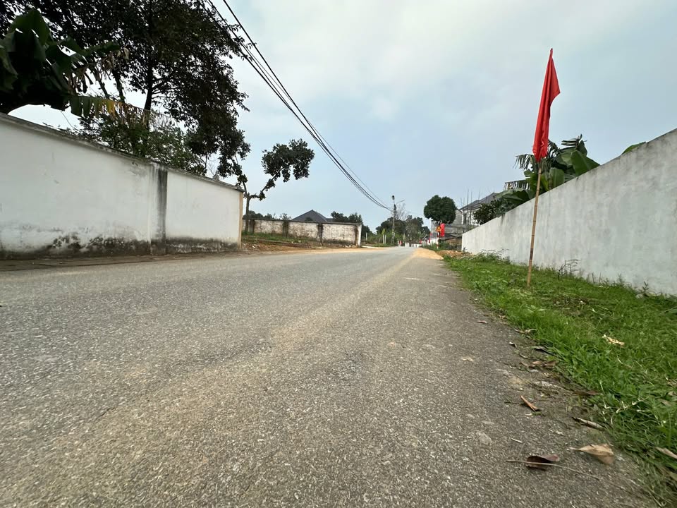 Đất Lô Góc 2 Mặt Tiền Trục Chính Thanh Vân, Tam Dương - 100m² Giá Đầu Tư