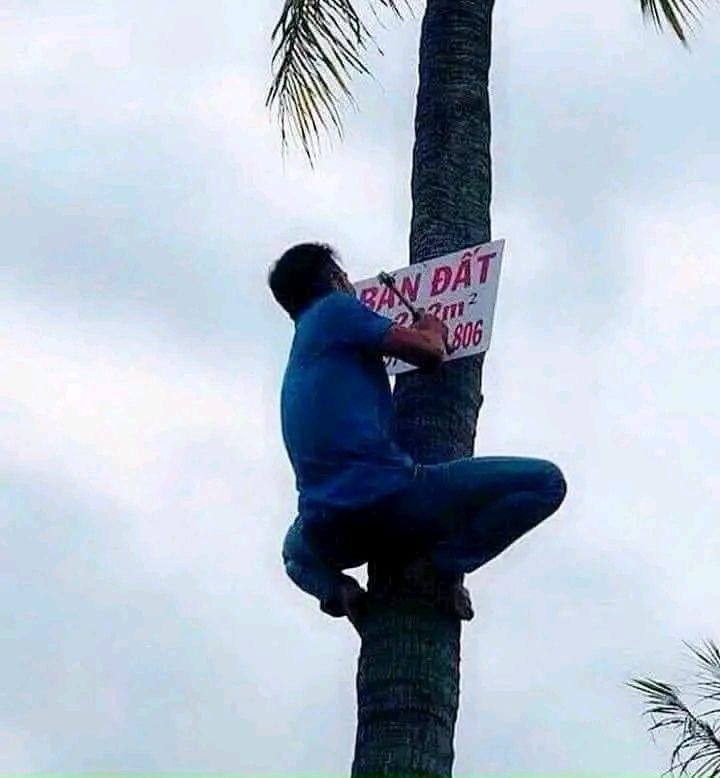 Bán Đất Dịch Vụ Yên Nghĩa 54m² - Giảm Sâu, Sẵn Sàng Đầu Tư