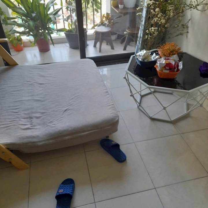 Chung cư CT2 Lạc Hồng Phúc 48m² - Full Nội Thất, Sẵn Sàng Sang Tên