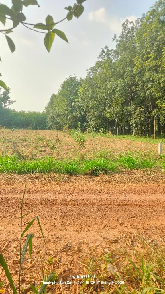 Đất Nền Bàu Bàng 406m² - Sổ Hồng Riêng, Giá F0 Chỉ Từ 1 Tỷ