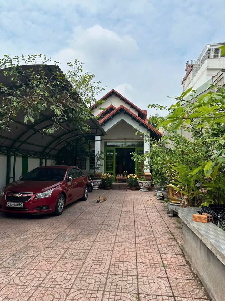 Nhà Mặt Tiền Huỳnh Văn Lũy, TP. Thủ Dầu Một - 296m², 3PN, Kinh Doanh Đắc Lợi