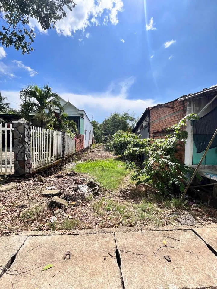 Đất Mặt Tiền Tà Lài, Tân Phú - 252m² Sổ Riêng, Giá 1.5 Tỷ