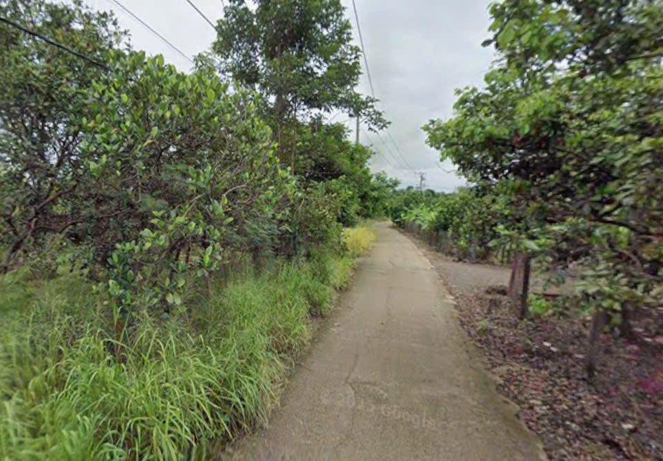 Bán Gấp Đất Vườn 10.679m² Xuân Thiện, Đồng Nai - Sổ Đỏ Sẵn Sàng