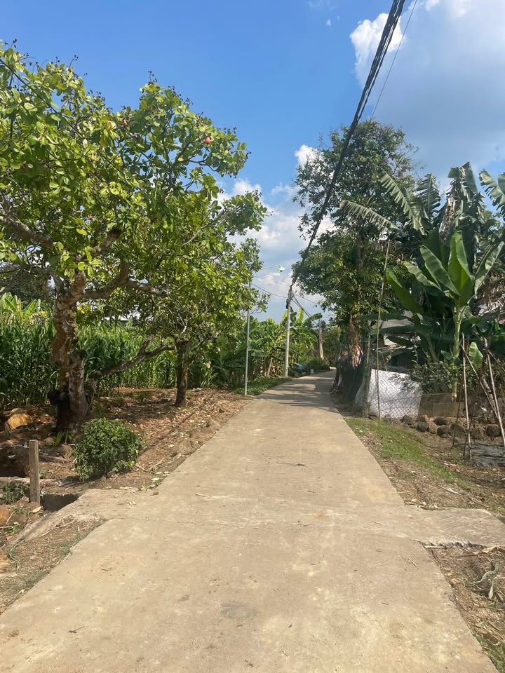 Đất Sổ Hồng Riêng Gia Canh, Định Quán - 130m² Giá 550 Triệu