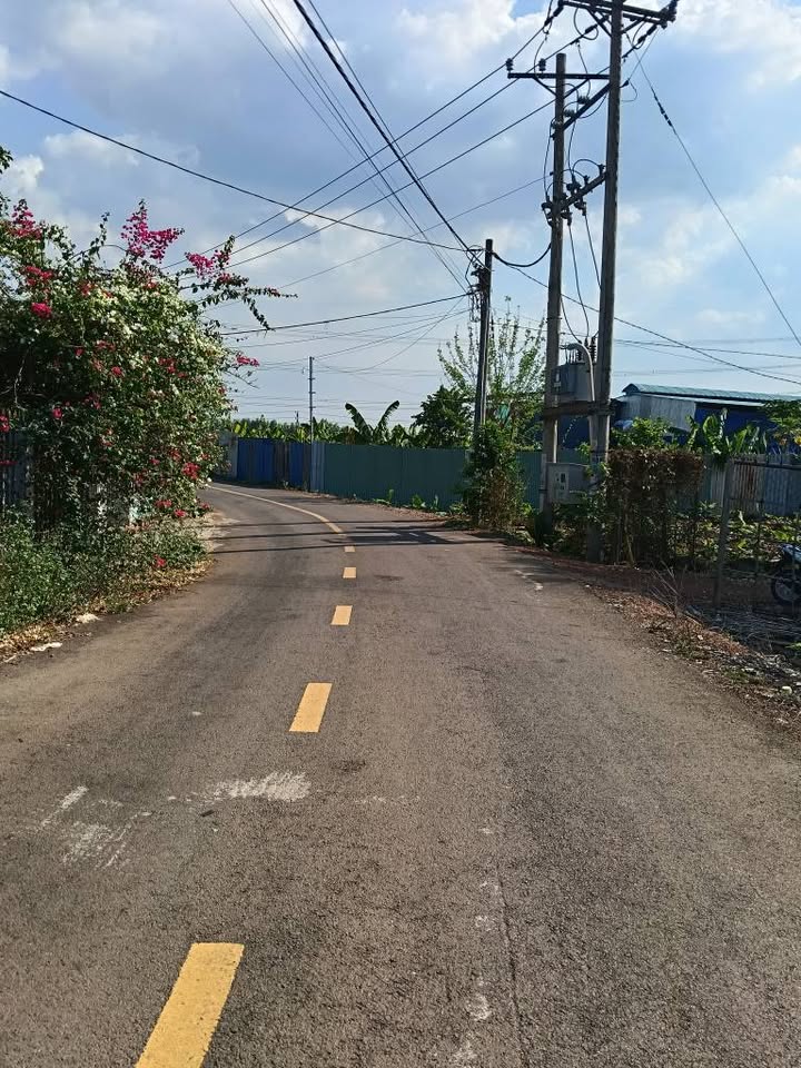 Đất Vàng Đồng Nai: 40.000m² Sổ Riêng, Mặt Tiền 25m - Đầu Tư Sinh Lời