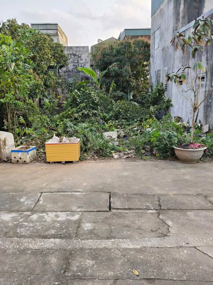 Bán đất Cẩm Thượng, TP. Hải Dương 44m² - Giá chỉ 7xx triệu, ô tô vào tận nơi