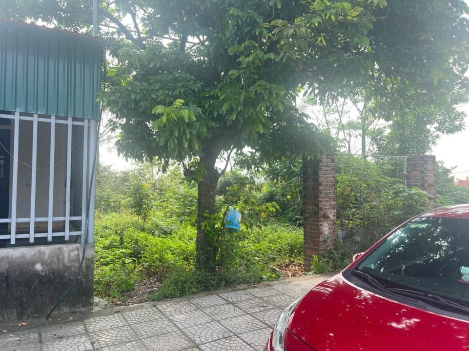 Đất nền Lâm Thao 150m² - Sổ hồng sẵn, vị trí đắc địa