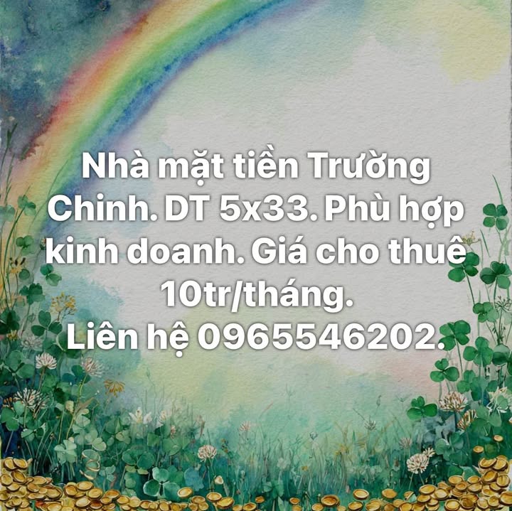 Mặt Tiền Kinh Doanh Đắc Địa Trường Chinh, Tuy Hòa - 165m² Giá 10 Triệu