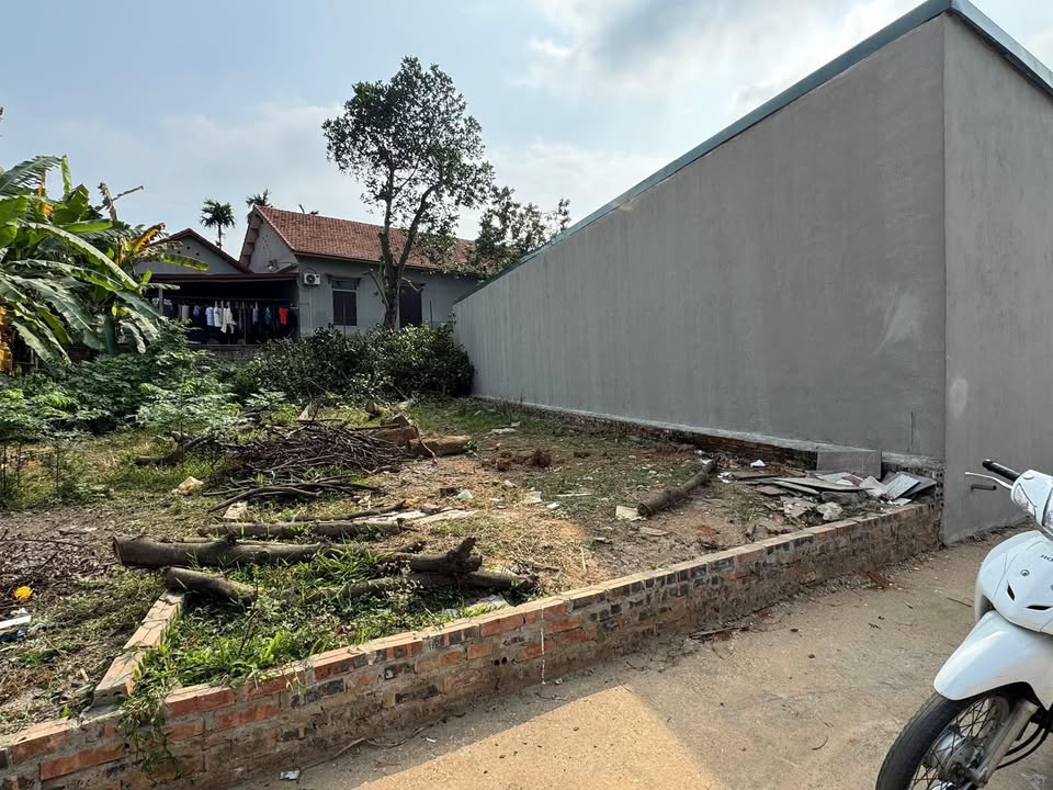 Đất nền Vân Phú, Việt Trì 97.9m² - Sổ đỏ thổ cư, vuông vắn, giá 1.85 tỷ