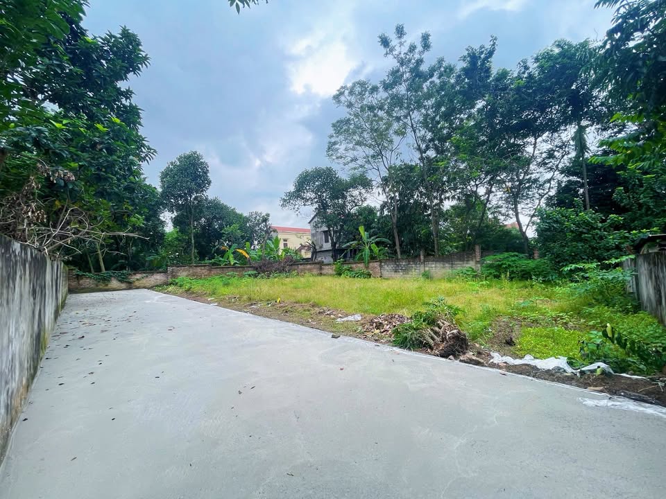 Đất nền Thanh Miếu, Việt Trì 60m² - Sổ đỏ, ô tô vào tận nơi