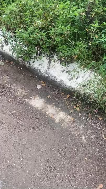 Bán Đất Thổ Cư 160m² Xã Xuân Huy, Lâm Thao, Phú Thọ - Sẵn Sổ