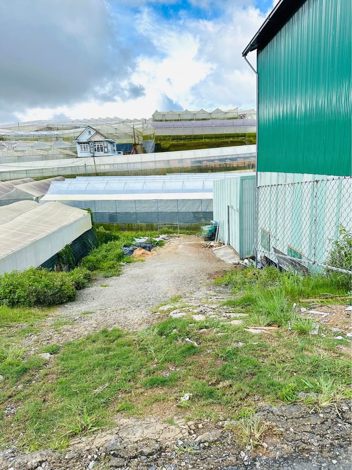 Bán Đất Biệt Thự Mặt Tiền Đa Phú, Đà Lạt 312m² - Cơ Hội Đầu Tư Hấp Dẫn