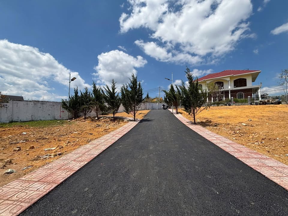 Đất nền Đồi Bạch Đằng, Đà Lạt 200m² - Sổ hồng riêng, View đẹp