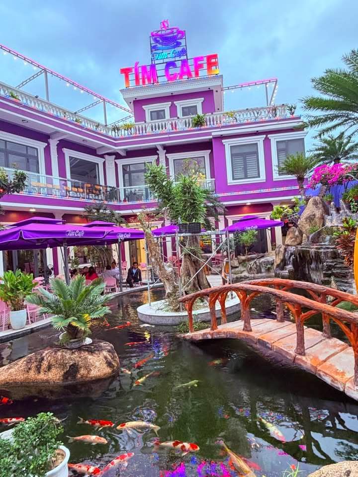 Nhà Mặt Tiền Đường Thanh Niên Quy Nhơn 80m² - Kinh Doanh Đắc Lợi