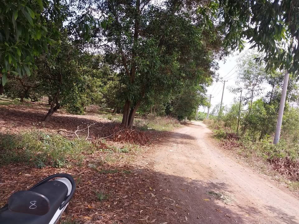 Bán Gấp 7ha Đất Vườn Tại Xuân Lộc, Đồng Nai - Sẵn Giấy Phép Trang Trại