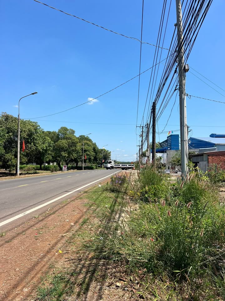 Đất nền 20.000m² Xuân Lộc, Đồng Nai - Mặt tiền 763b, Sổ hồng chính chủ