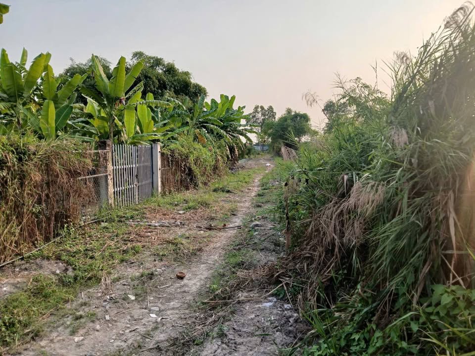 Đất Vườn 400m² Phạm Hữu Lầu, Nhà Bè - Sổ Đỏ Vuông Vắn, Sẵn Sàng Xây Tổ Ấm