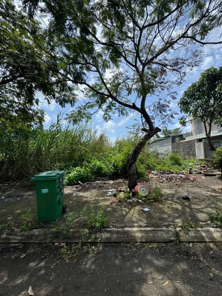 Bán Đất Sổ Hồng Riêng Nguyễn Văn Tạo Nhà Bè - 95m² Giá 4.4 Tỷ