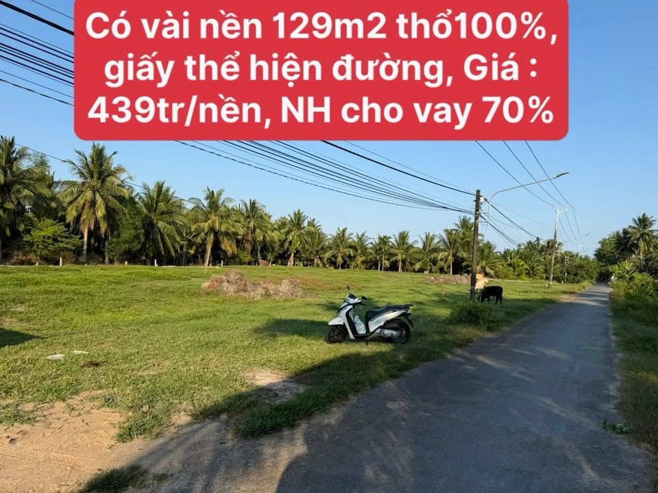 Đất nền 129m² Phường Long Đức, Trà Vinh - Mặt tiền nhựa 8 tấn, Giá 439 triệu