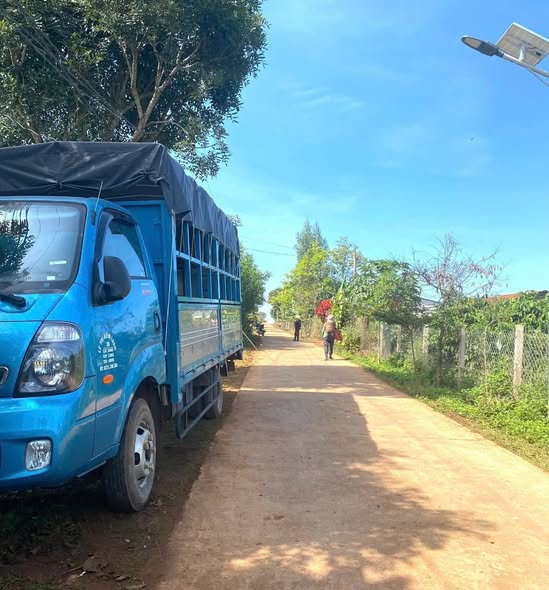 Bán Đất Mặt Tiền Đường Bê Tông Đức Trọng 2536m² - Giá 2.5 Tỷ