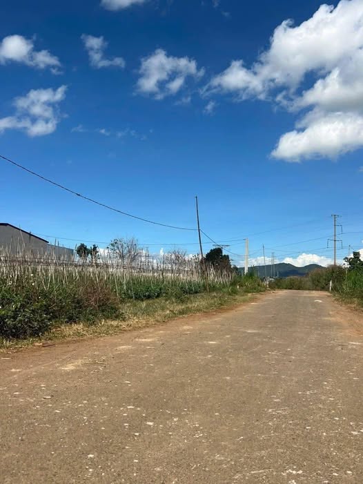 Đất Nền 125m² Đức Trọng, Lâm Đồng - Sổ Hồng Riêng, Giá F0