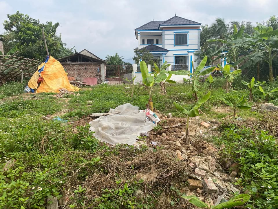 Đất nền Tam Đảo 300m² - Mặt tiền 16m, ô tô vào đất, giá 1.2 tỷ