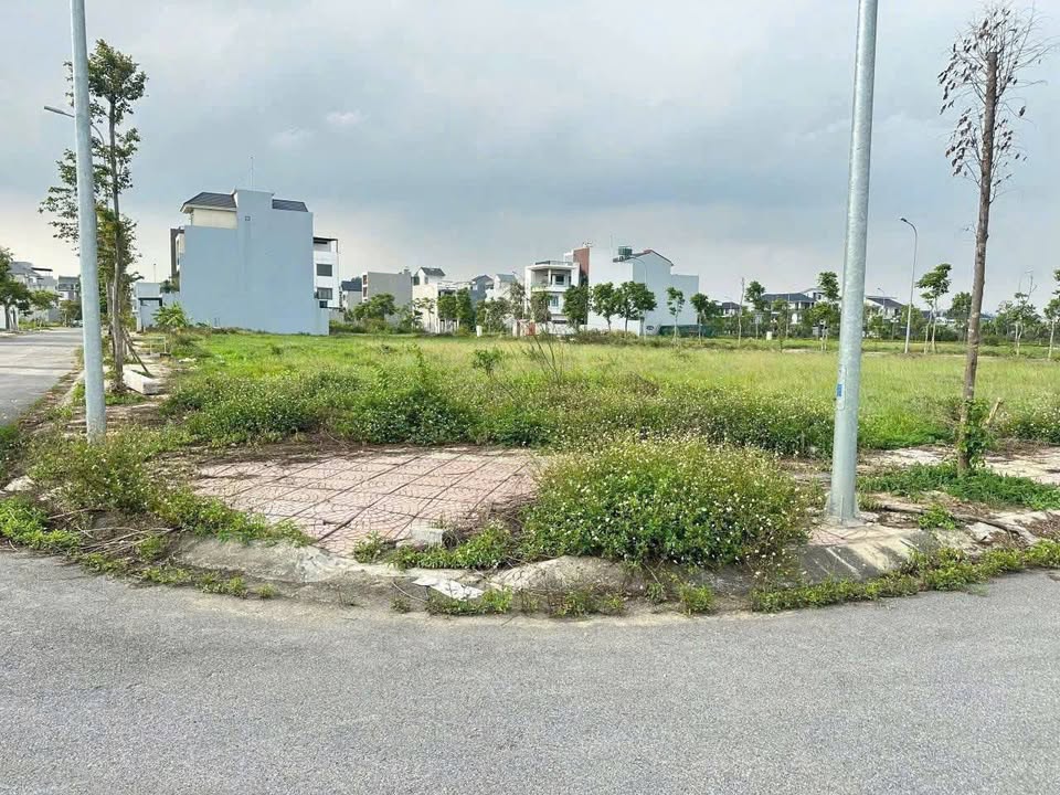 Đất Nền Lô Góc 266.5m² Khu Đô Thị Nam Vĩnh Yên - Giá Tốt