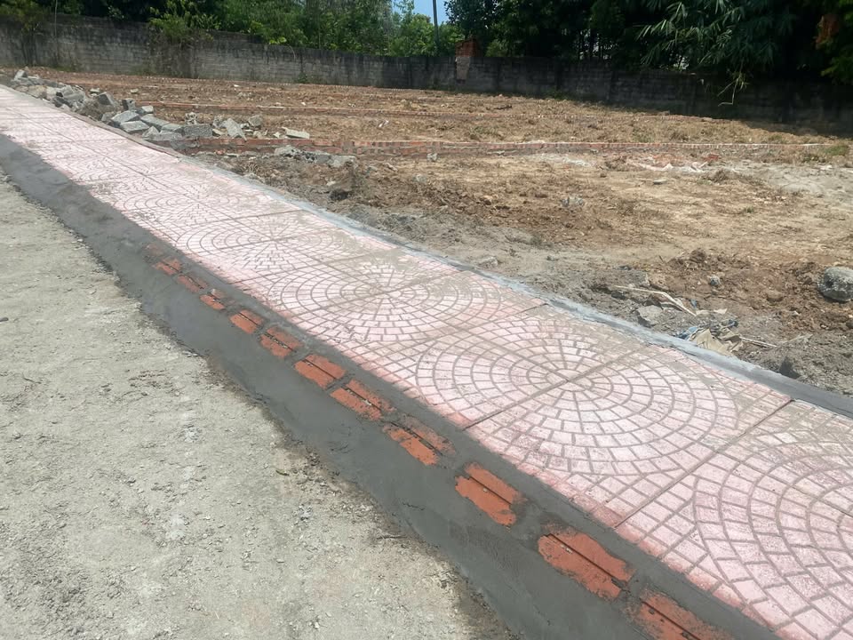 Đất Nền Tam Đảo 114m² Sổ Hồng Sẵn Sàng - Đầu Tư Sinh Lời