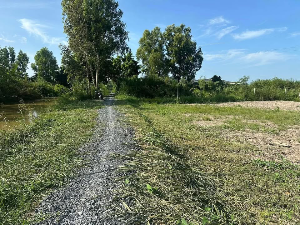 Đất lúa Tân Phú Đông, Sa Đéc - 717m² Hướng Bắc, Giá 600 Triệu/Nền