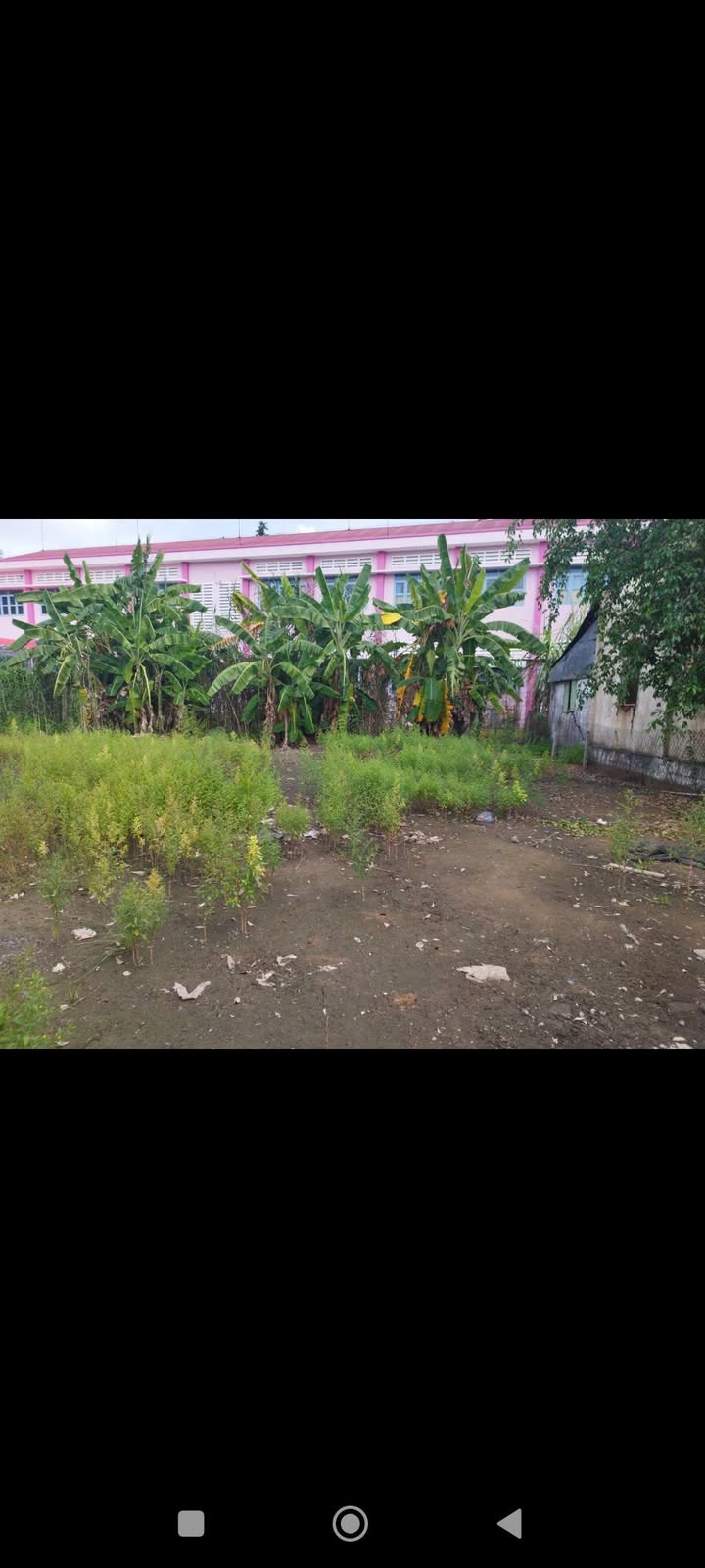 Đất Nền 600m² Xã Tân Khánh Đông, Sa Đéc - Giá Tốt, Sổ Hồng Thổ Cư