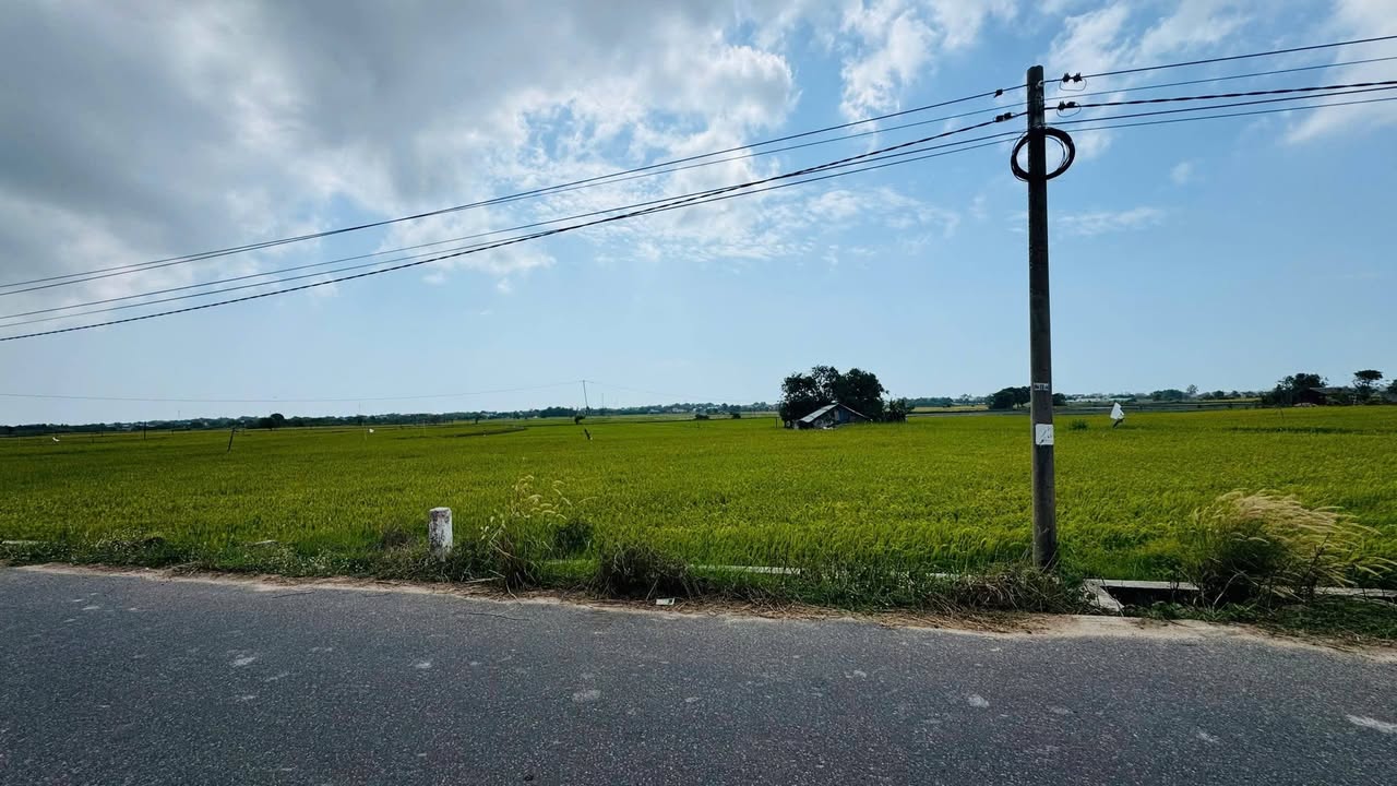 Đất Nền 334m² Sổ Thổ Cư Phước Hội, Long Đất - Gần Biển, Giá 3.7 Tỷ